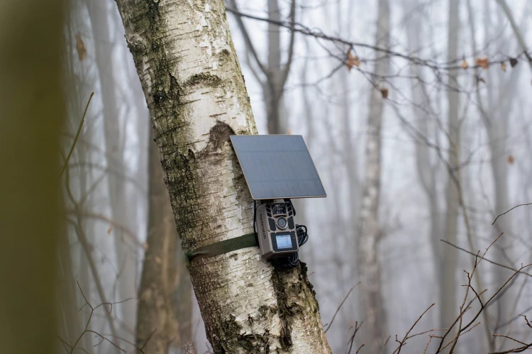 Tacticatch Sowa -120 fotopułapka z solarem